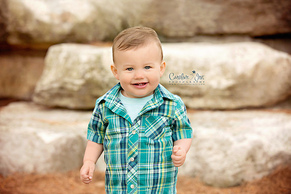 3-30-2019-Colt15Months-1web