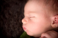 Liam {Newborn} - HiRes - For Print